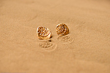 Ottone ✡ Earring ✡ Fossil Stud - 2 ✡ 19
