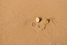 Ottone ✡ Earring ✡ Fossil Stud - 3 ✡ 20