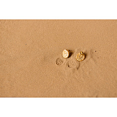 Ottone ✡ Earring ✡ Fossil Stud - 3 ✡ 20