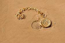 Ottone ✡ Fossil Shakel Bracelet  ✡ 23