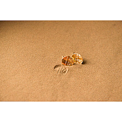 Ottone ✡ Earring ✡ Fossil Stud - 4 ✡ 21