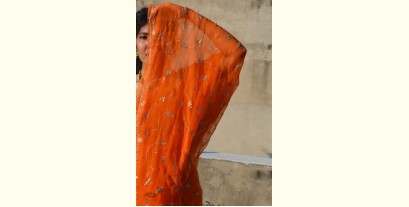Shaahi ❂ Orange Hand Embroidered Aari Jaal Chiffon Saree ❂ 12