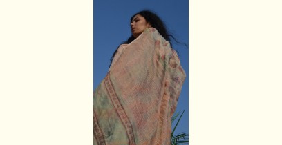 Shaahi ❂ Tissue Silk Block Printed Gulaab Saree ❂ 15