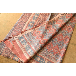 Ajrakh Printed ~ Tussar Silk Saree ~ Natural Color 