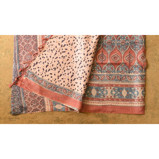 shop handmade ajrakh printed Tussar Silk saree