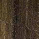 Shop Ajrakh Modal Silk Stole With Natural Dyed