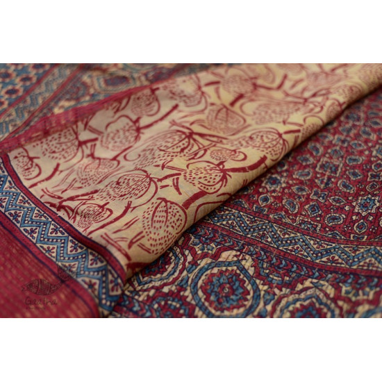 Organza ajrakh printed saree with zari border