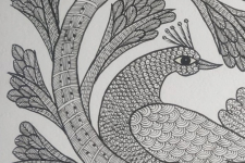 Gond Art | Hand Painted Gond Painting ( 11.5 x 15 inch ) - Peacock Black & white