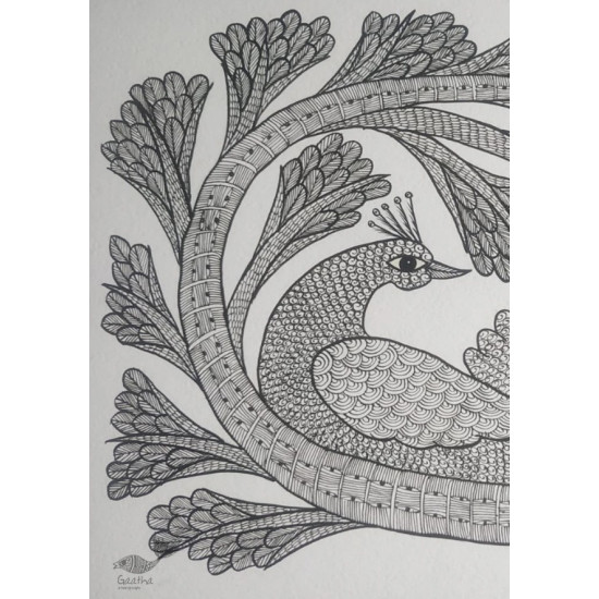 Buy Hand Painted Gond Painting Peacock Black & white 