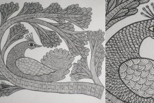 Gond Art | Hand Painted Gond Painting ( 11.5 x 15 inch ) - Peacock Black & white