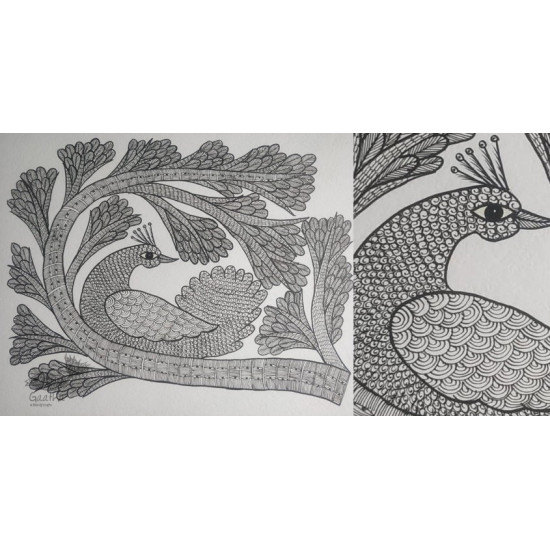 Buy Hand Painted Gond Painting Peacock Black & white 