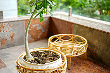 Home Decor Furniture | Rattan Bonsai Planter Stand