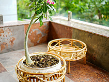 Home Decor Furniture | Rattan Bonsai Planter Stand