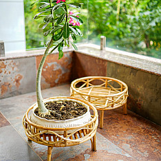 Home Decor Furniture | Rattan Bonsai Planter Stand
