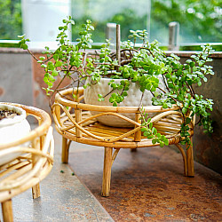 Home Decor Furniture | Rattan Bonsai Planter Stand