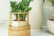 Home Decor Furniture | Tikli Half 'n' Half Planter Pot