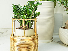 Home Decor Furniture | Tikli Half 'n' Half Planter Pot