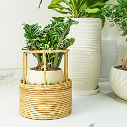 Home Decor Furniture | Tikli Half 'n' Half Planter Pot