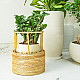 shop Tikli Half 'n' Half Planter Pot