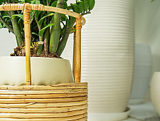 Home Decor Furniture | Tikli Half 'n' Half Planter Pot