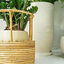 Home Decor Furniture | Tikli Half 'n' Half Planter Pot