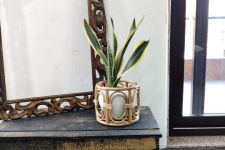 Home Decor Furniture | Cane Wood - Handmade Designer  Classic Planter