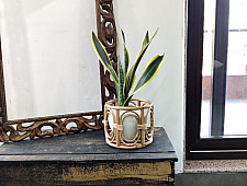 Home Decor Furniture | Cane Wood - Handmade Designer  Classic Planter