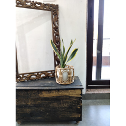 Home Decor Furniture | Cane Wood - Handmade Designer  Classic Planter