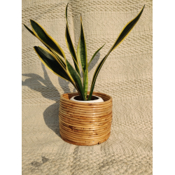 Home Decor Furniture | Cane Wood - Designer Handmade Coiled Planter