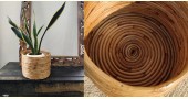 shop Cane Wood - Designer Handmade Coiled Planter