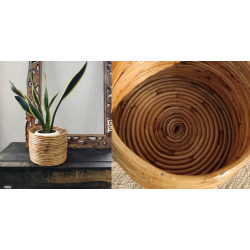 Home Decor Furniture | Cane Wood - Designer Handmade Coiled Planter