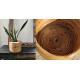 shop Cane Wood - Designer Handmade Coiled Planter