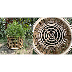 Home Decor Furniture | Cane Wood - Handmade Designer Jaal Planter Pot 