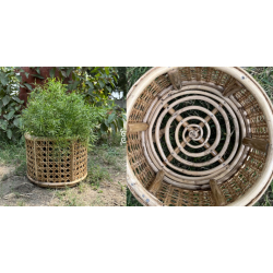 Home Decor Furniture | Cane Wood - Handmade Designer Jaal Planter Pot 