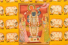 Pichwai Paintings of Nathdwara | Shrinath ji  With Cows & Calf (35" x 46")
