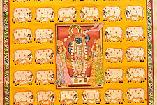 Pichwai Paintings of Nathdwara | Shrinath ji  With Cows & Calf (35" x 46")