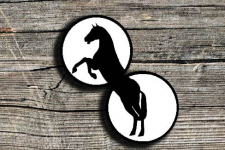 Art for Desserts | Hand Painted Wall Plates (Set of 2) -  Split Aligator (Galloping Horse)