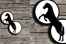 Art for Desserts | Hand Painted Wall Plates (Set of 2) -  Split Aligator (Galloping Horse)