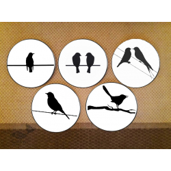 Art for Desserts | Hand Painted Wall Plate (Set of 5) - Black Birds