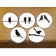 shop Hand Painted Wall Plate (Set of 5) - Black Birds