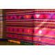 shop katchi woolen shawl - full bharat in Fluorescent Pink