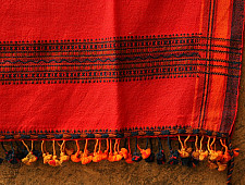 From the grasslands ❅ Woolen shawl {  द }