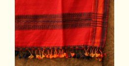 From the grasslands ❅ Woolen shawl {  द }