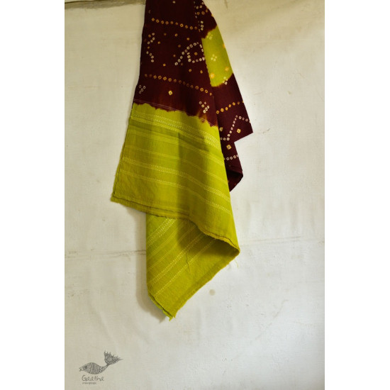 Winters Call ❁ Bandhni Shawl ❁ 23