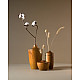 shop wooden cutlery kitchenware - bowl