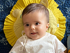 Organic Cotton ★ Lion Mustard Seed Pillow ★ 1