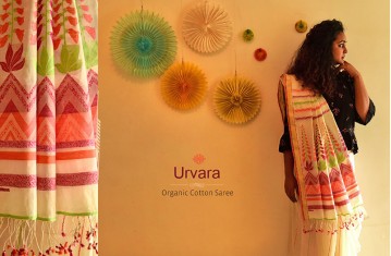 Urvara - Organic Mercerised Cotton Saree.