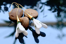 Flora ⚹ Glass Jewellery ⚹ Snow Drop ( Earring ) ~ 12