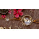 Aadikara ☼ Glass . Rakhi ☼ 1