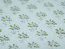 Sanganeri fabric ~ 17 (Block Printed . Per Meter)